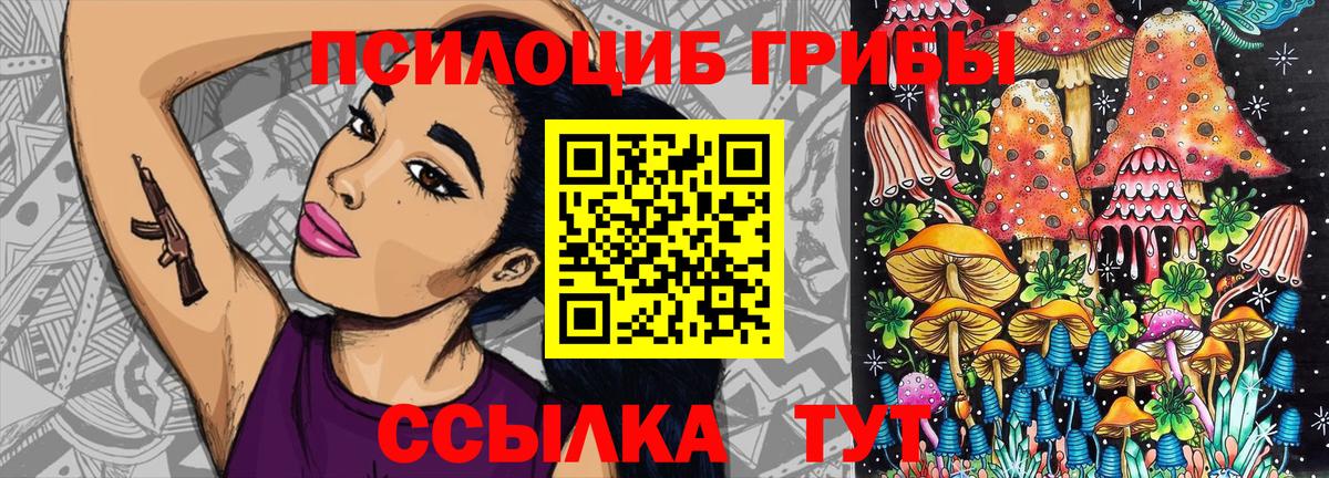 Псилоцибиновые грибы MAGIC MUSHROOMS Дубна