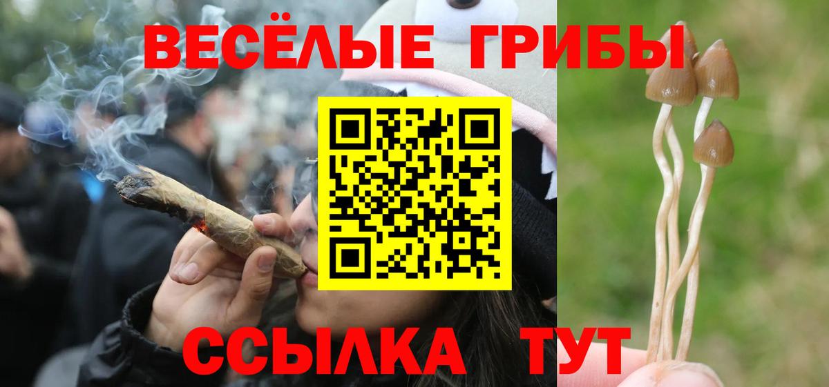 Дубна  Псилоцибиновые грибы Psilocybine cubensis  Вход с VPN  Псилоцибиновые грибы Cubensis 
